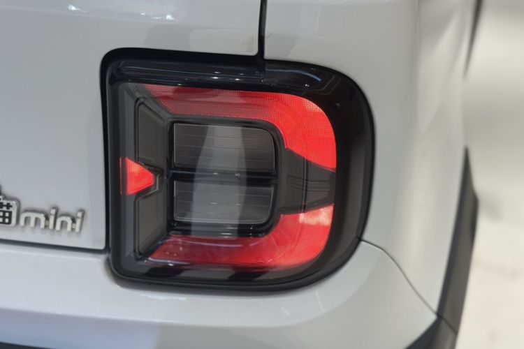 Used  Panda 2024 200km Panda Rider