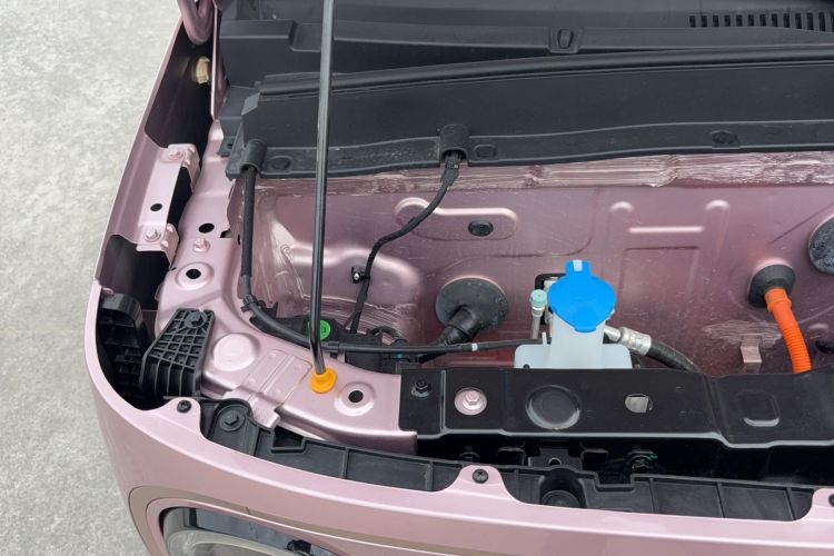 Used  Panda 2023 Panda Mini 200km Endurance Bear
