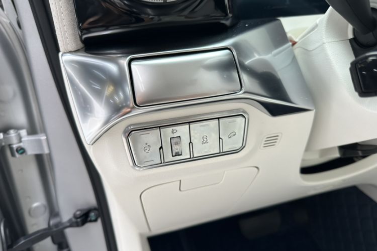 Used  Tank 300 2021 2.0T Cyber Tank
