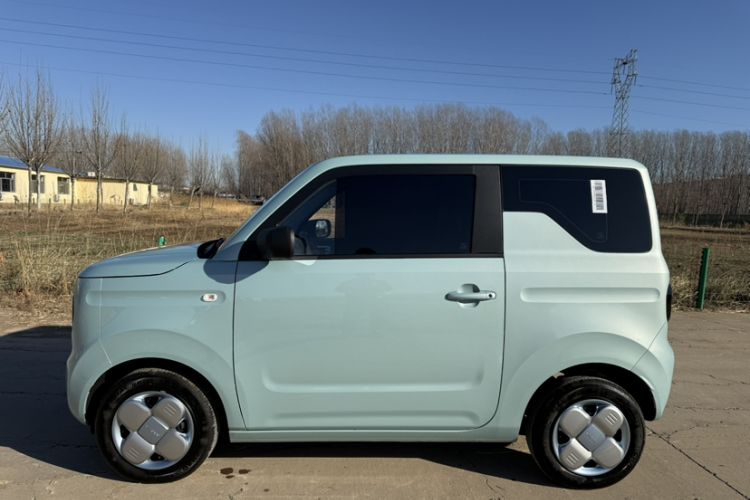 Used  Panda 2024 Panda Mini 200km Endurance Bear
