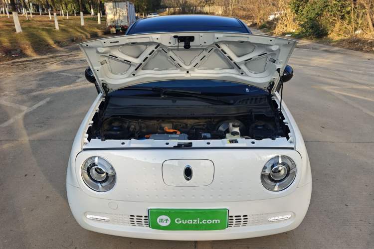 Used ORA Black Cat 2021 351 km Standard Version