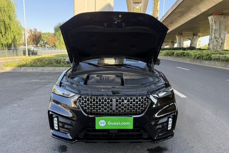 Used Wey VV7 2020 2.0T Ultra-Luxury Version
