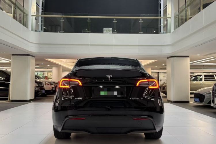 Used Tesla Model Y 2021 Standard Range Rear-Wheel Drive Version
