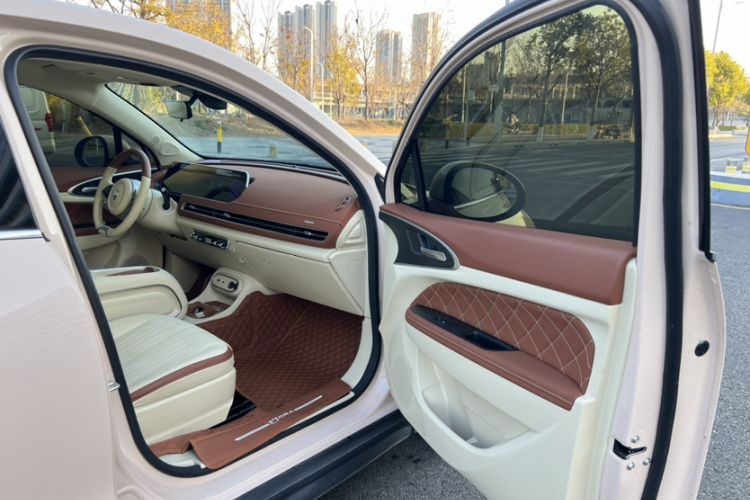 Used ORA Good Cat 2023 401 km Standard Range Luxury Version Lithium Iron Phosphate
