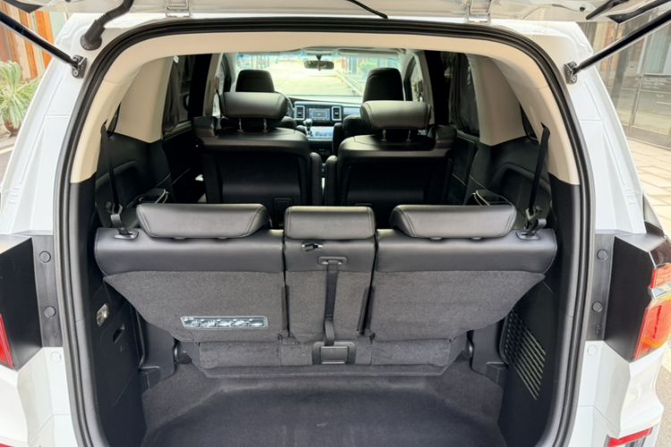 Used Honda Elysion 2016 2.4L Style Edition
