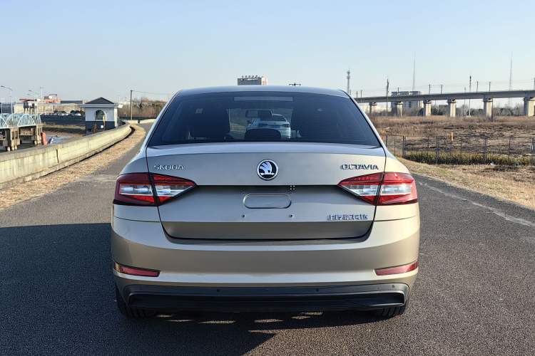 Used Skoda Octavia 2019 1.5L Automatic Comfort Edition
