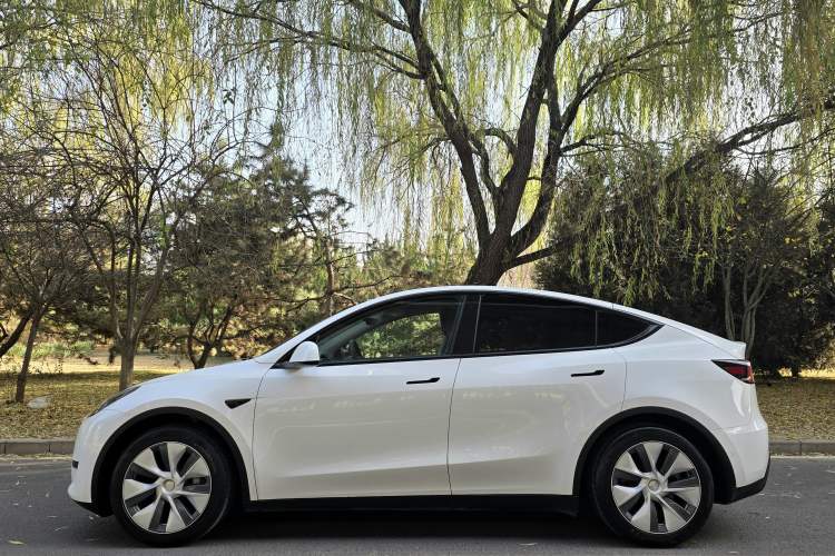 Used Tesla Model Y 2022 Rear-Wheel-Drive Version