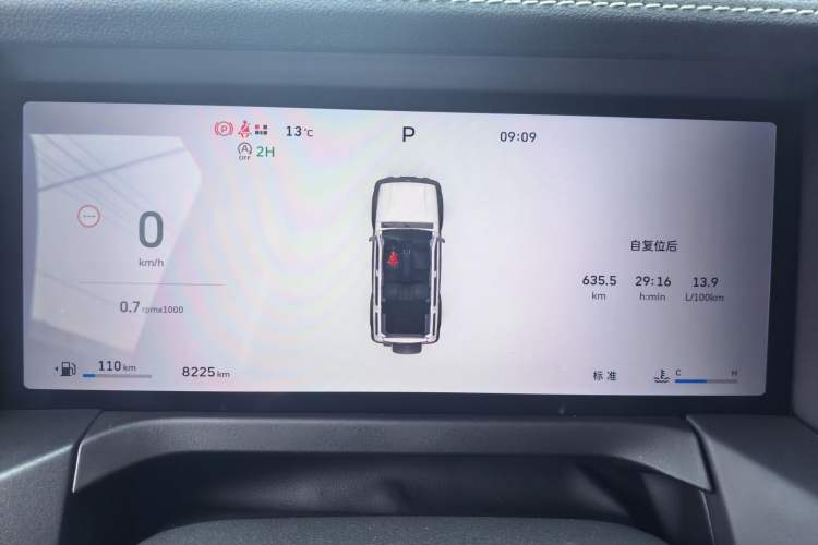 Used Tank 300 2025 2.0T Conqueror