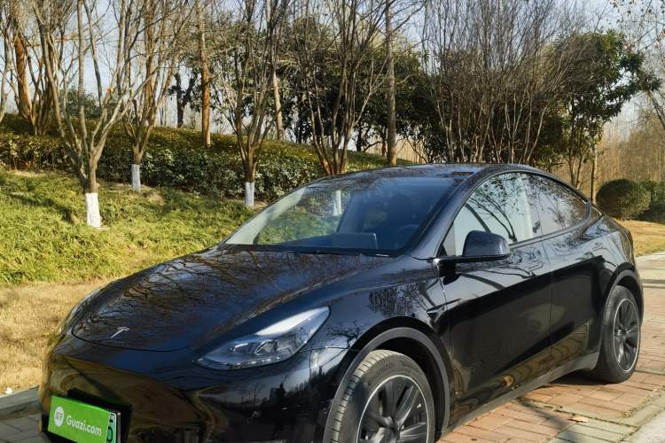 Used Tesla Model Y 2021 Standard Range Rear-Wheel Drive Version