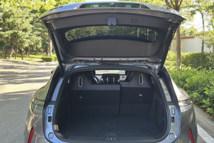 Used  07 2024 Max Extended-Range Edition
