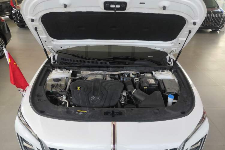 Used Hongqi H5 2023 2.0T Automatic Smart Connect Flagship Edition
