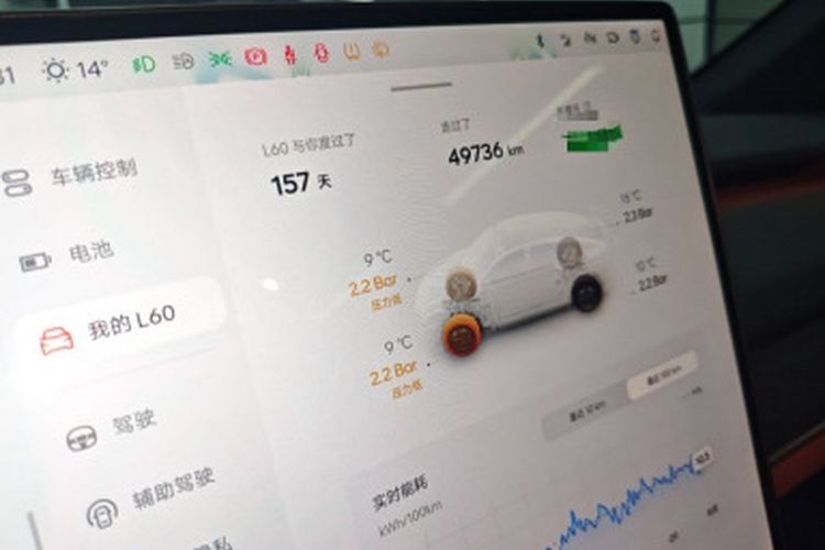 Used ONVO L60 2024 60 kWh Rear-Drive Version