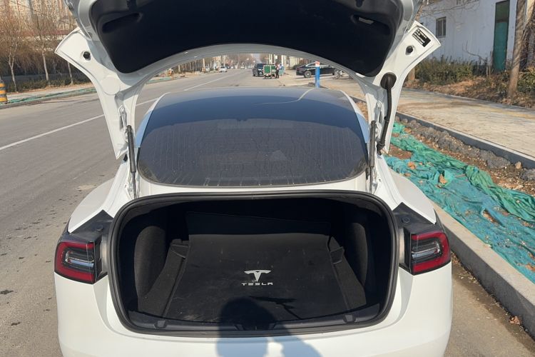 Used Tesla Model 3 2020 Standard Range Rear-Wheel Drive Upgraded Version
