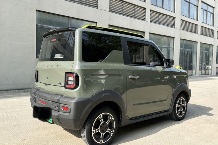 Used  Panda 2024 200km Panda Rider