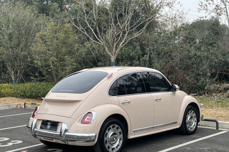 Used ORA Ballet Cat 2023 401 km Luxury Version