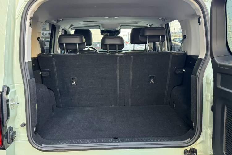 Used Tank 300 2021 City Edition 2.0T—Truly Stylish
