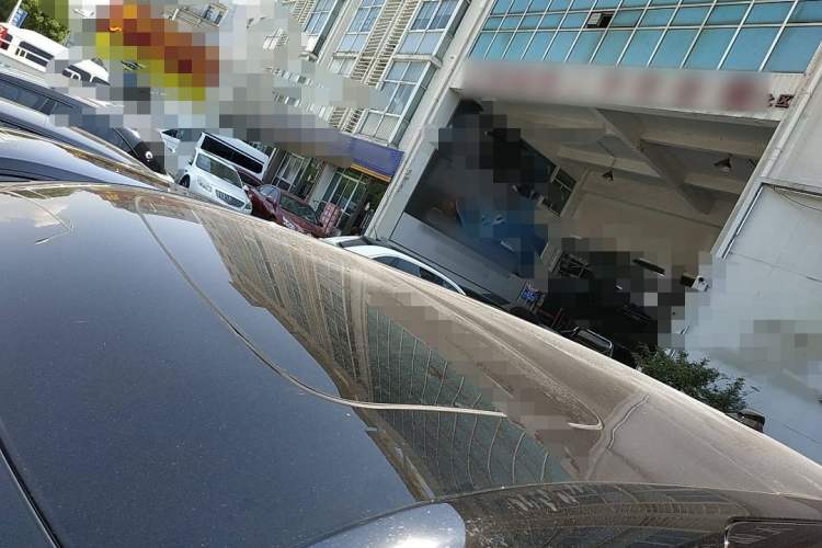 Used Zeekr 009 2022 Revised WE Version
