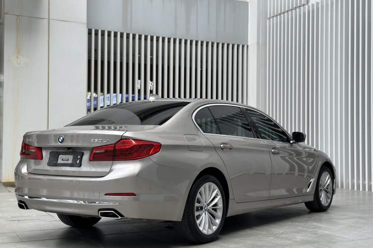 Used BMW 5 Series 2019 Facelifted 530Li Luxury Edition Premium Package
