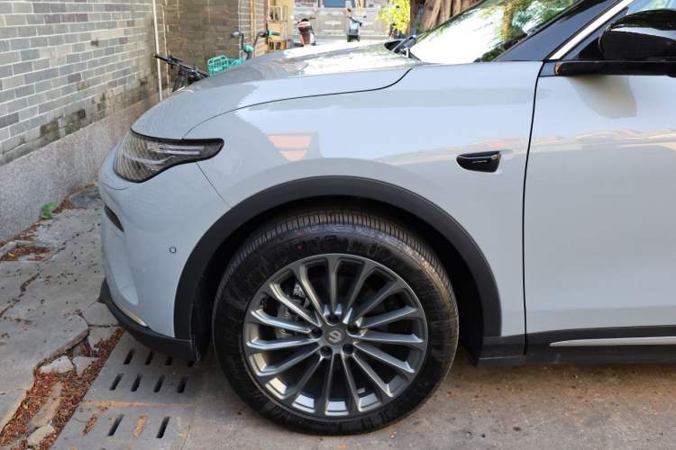 Used Leapmotor C11 2024 Range-Extended 300 Luxury Edition
