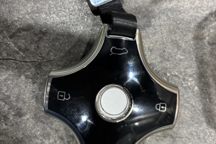 Used  eπ007 2024 All-Electric 530 RuYi Edition
