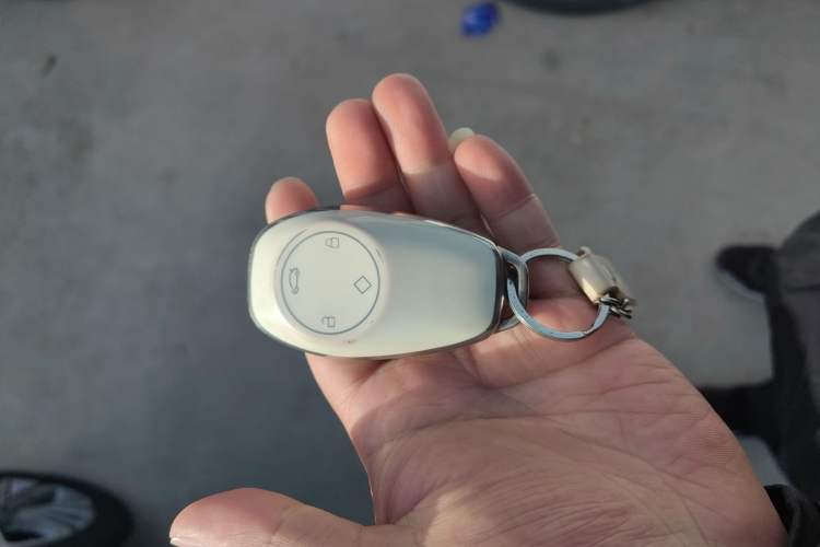 Used Leapmotor T03 2021 400 Lite Edition - Lithium-Ion Battery