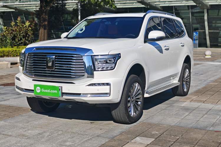 Used Tank 500 New Energy 2025 Hi4-Z
