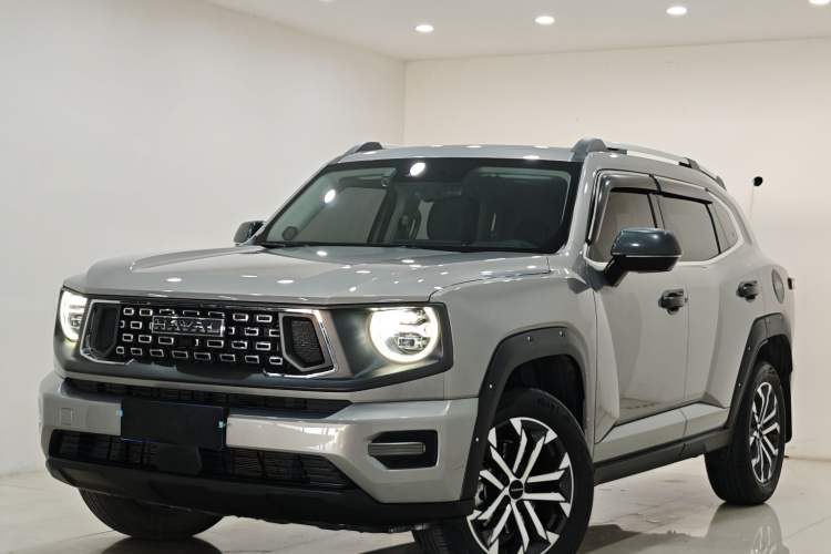 Used Haval H Dog 2023 2.0T Two-Wheel Drive Chaoye Version Plus