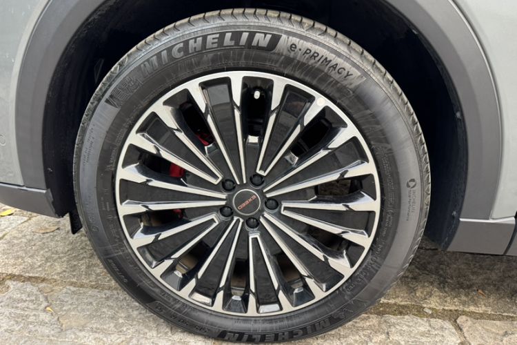 Used  Stellar 2023 400T Four-Wheel Drive Deluxe Flying Fish Edition