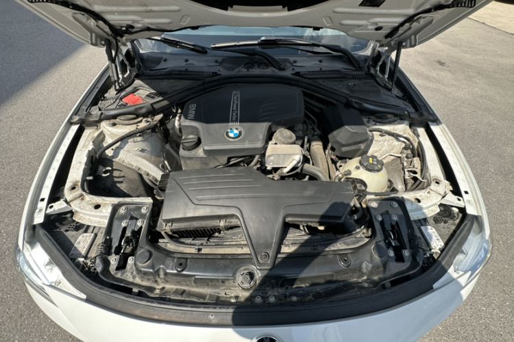 Used BMW 3 Series 2016 320Li Ambition Model
