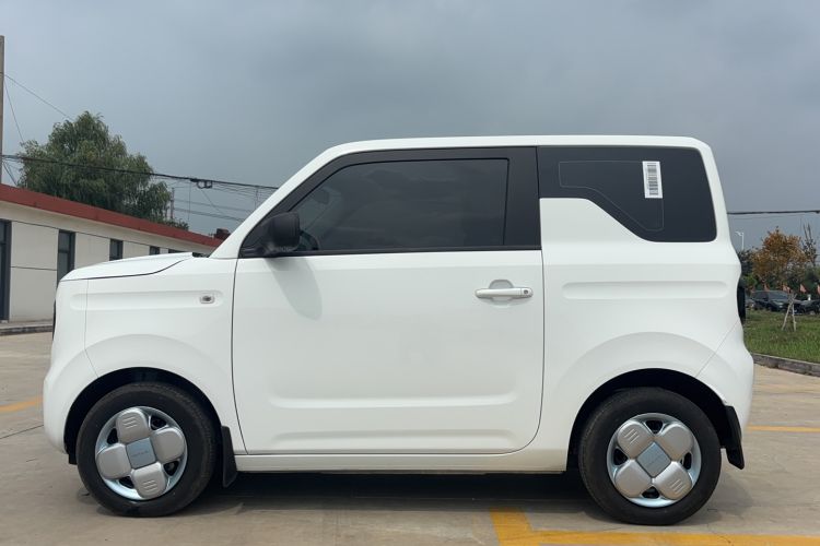 Used  Panda 2024 Panda Mini 200km Endurance Bear
