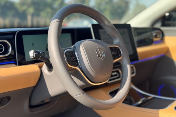 Used Leapmotor C01 2024 Pure Electric 525 Comfort Edition
