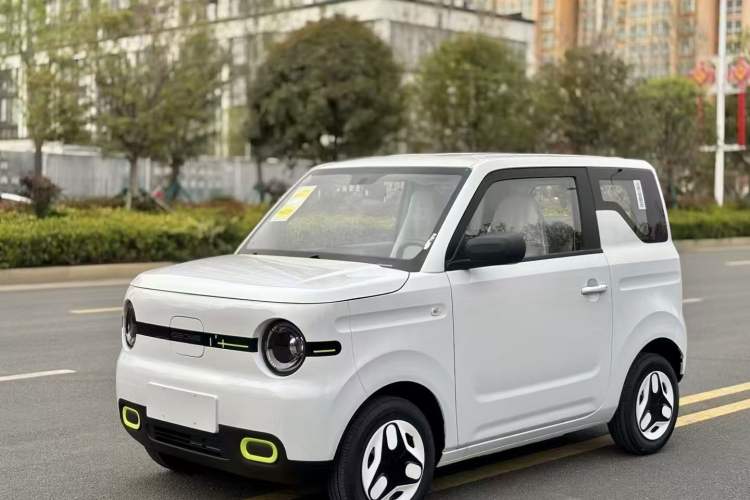 Used  Panda 2025 210 km – Yuanqi Bear
