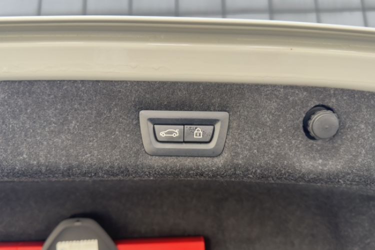 Used BMW 5 Series 2021 530Li Leading Luxury Package