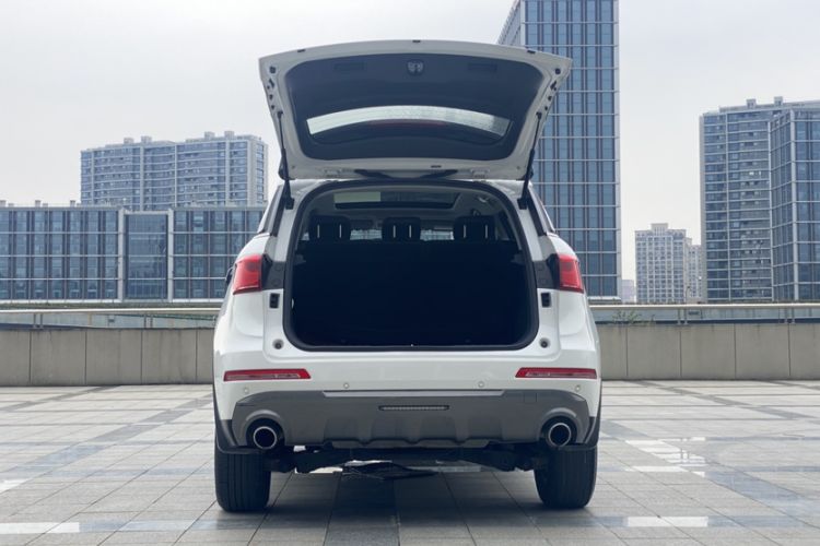 Used Haval H6 Coupe 2018 Blue Label 1.5T Automatic Two-Wheel Drive Luxury Model
