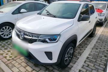 Used Dongfeng NAMMI EX1 2022 PRO Enjoyment Model