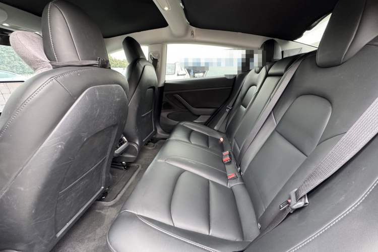 Used Tesla Model 3 2019 Standard Range Rear-Drive Upgraded Version
