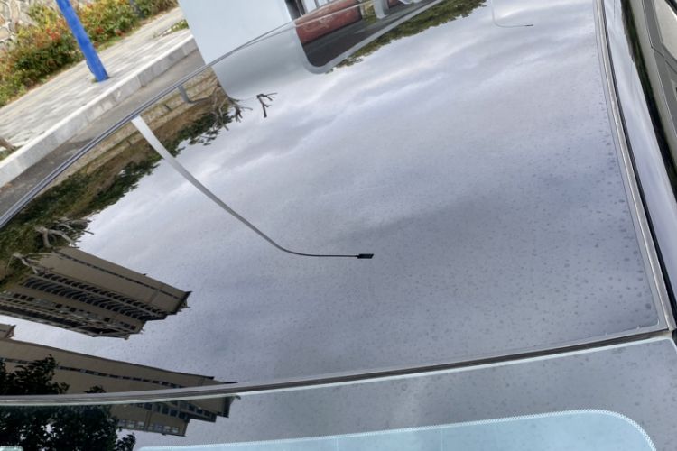 Used BYD Dolphin 2025 520km Range Knight Edition
