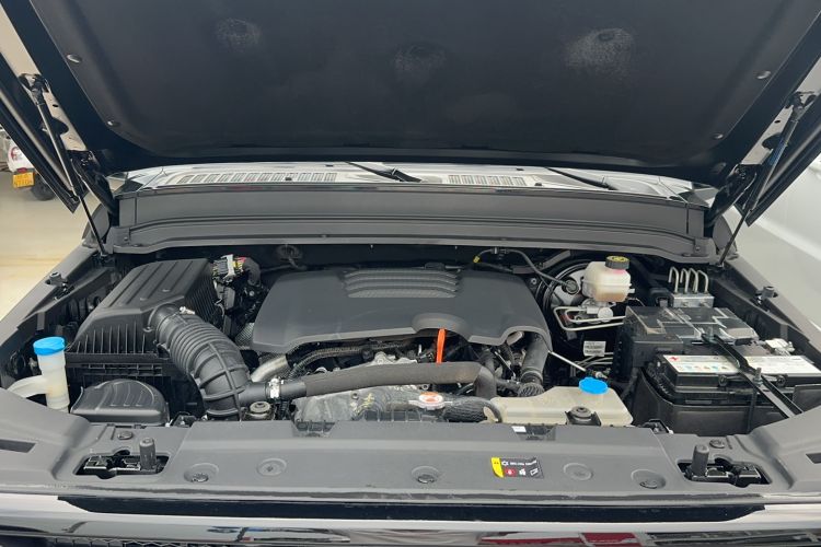 Used Tank 300 2021 Off-Road Edition 2.0T Conqueror
