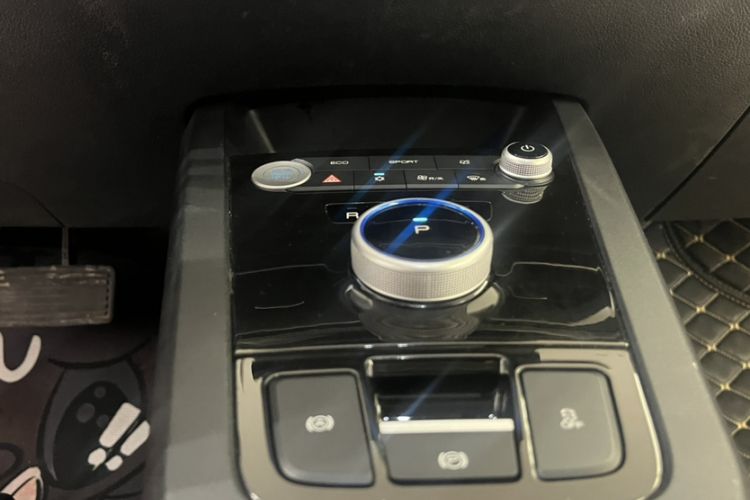 Used BYD e2 2019 Long-Range Version Yao·Luxury Trim
