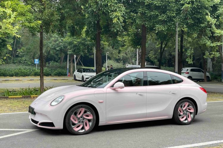 Used ORA Lightning Cat 2022 555 km Luxury Edition
