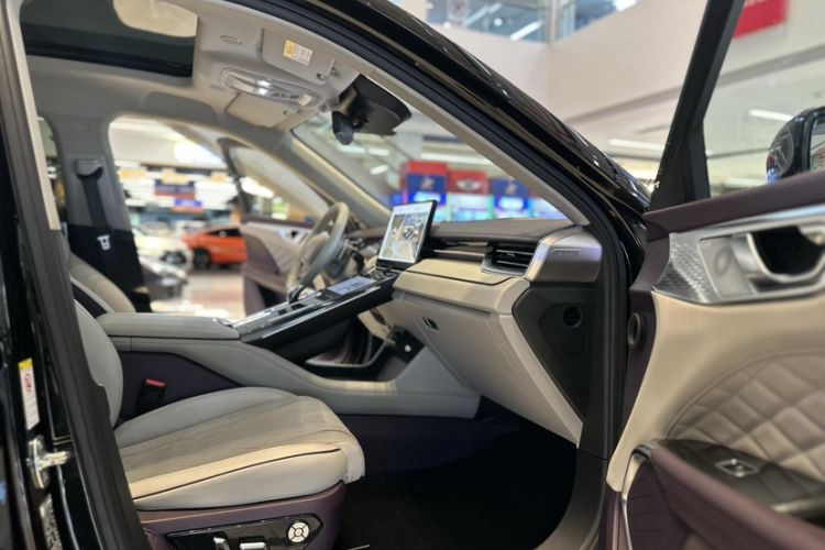 Used Wey Mocha 2021 2.0T Two-Wheel-Drive Premium Edition
