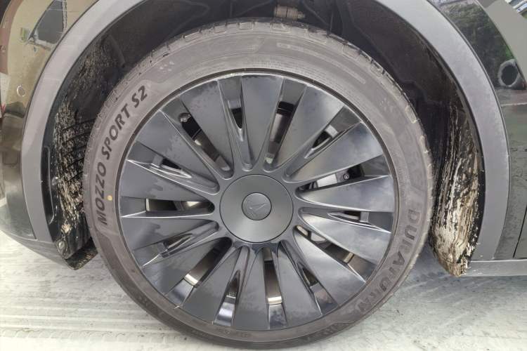 Used Tesla Model Y 2021 Standard Range Rear-Wheel Drive Version