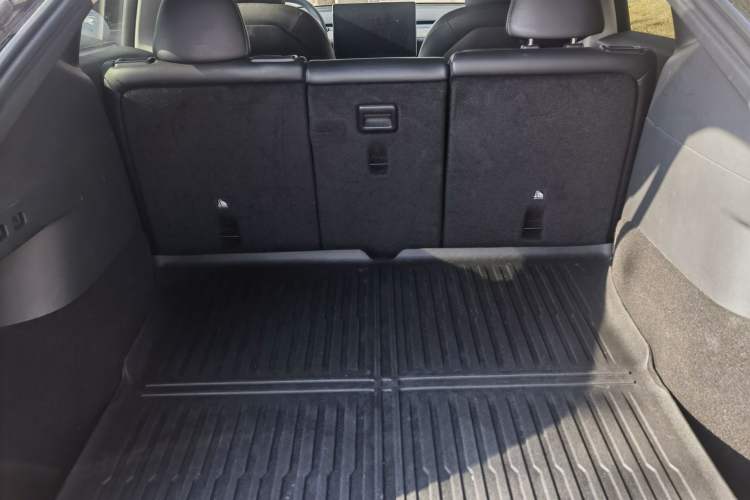 Used Tesla Model Y 2021 Standard Range Rear-Wheel Drive Version
