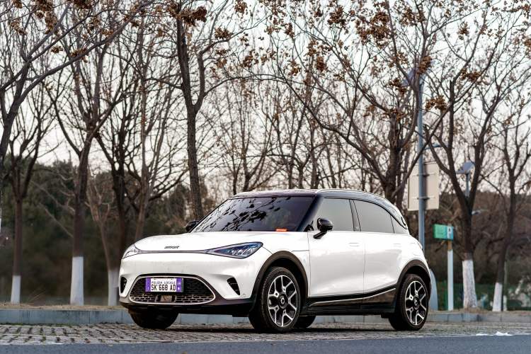 Used smart #1 2022 Pulse Heartbeat Edition