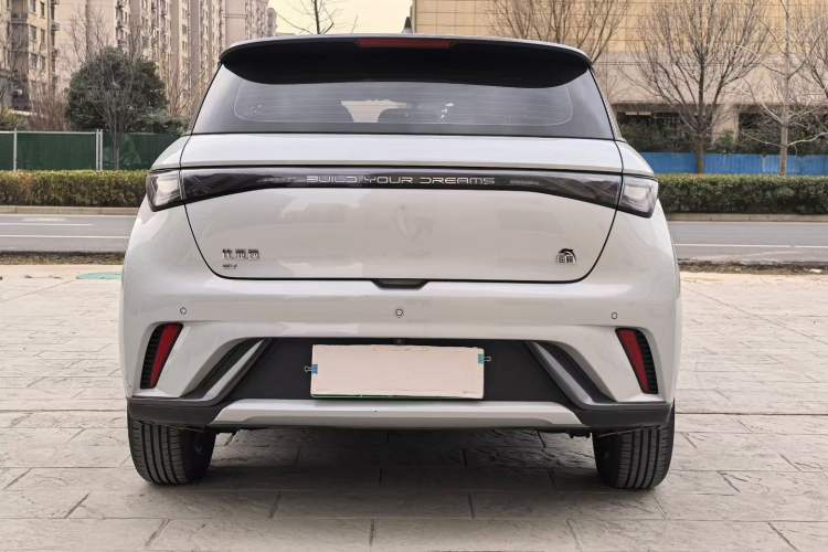 Used BYD Dolphin 2021 405 km Free Version