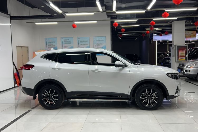 Used Haval H6 2023 National Trend Edition 1.5T Automatic Urban Version
