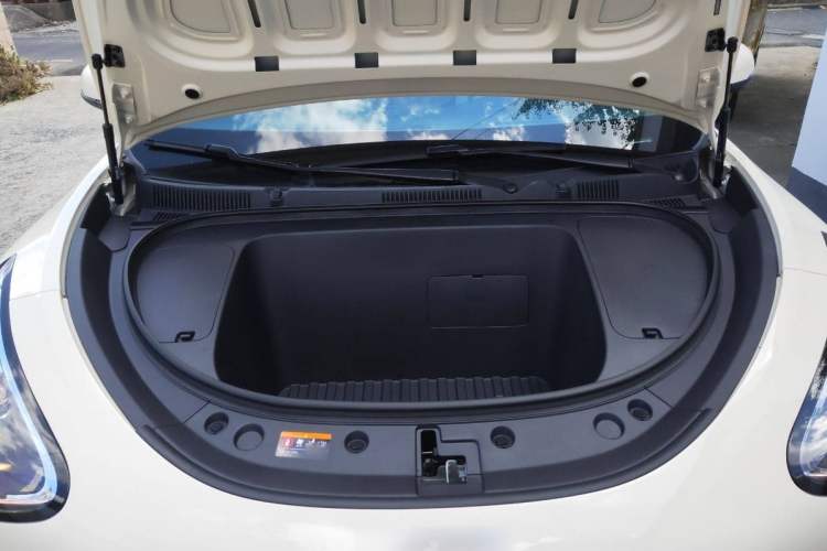 Used  Geome 2025 310km Youth Edition
