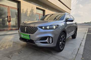 Used Wey VV6 2021 2.0T Two-Wheel Drive Smart Protection+