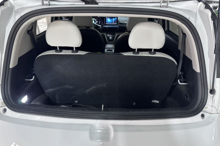 Used ORA White Cat 2020 305 km Luxury Version
