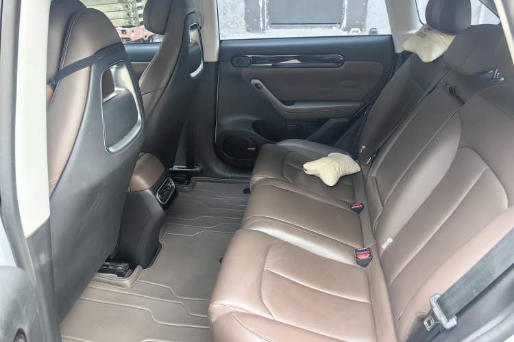 Used Leapmotor C11 2023 Pure Electric 500 Comfort Edition